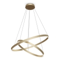 Maytoni MOD058PL-L74BS3K - LED Lustra ar auklu RIM LED/88W/230V 3000K d. 80 cm zelta