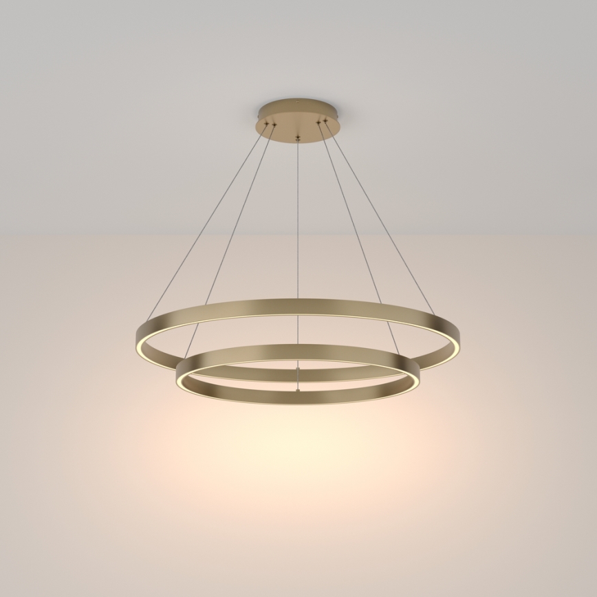 Maytoni MOD058PL-L74BS3K - LED Lustra ar auklu RIM LED/88W/230V 3000K d. 80 cm zelta