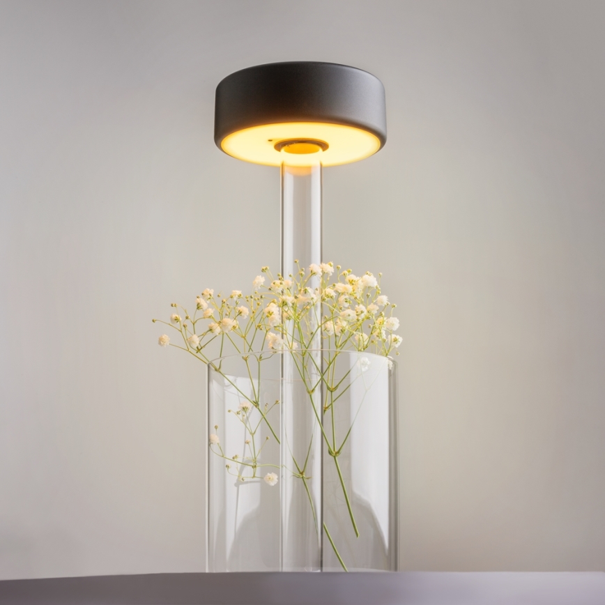 Maytoni MOD229TL-L3B3K1 - LED Aptumšojama uzlādējama pārvietojama galda lampa LED/3W/5V 2200-4000K melna/caurspīdīga