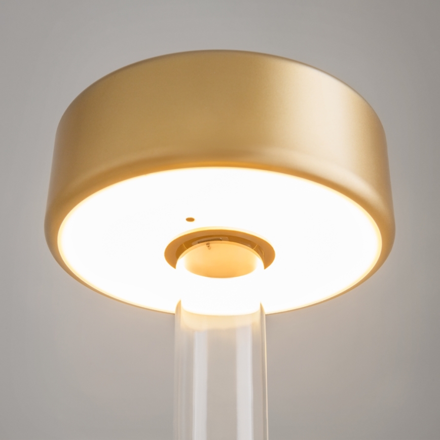 Maytoni MOD229TL-L3G3K1 - LED Aptumšojama uzlādējams pārvietojams galda lampa LED/3W/5V 2200-4000K zelta/caurspīdīga