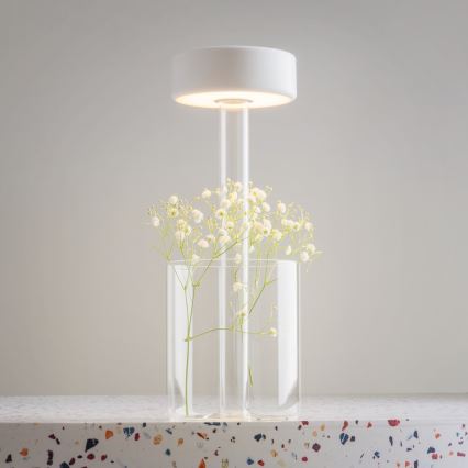 Maytoni MOD229TL-L3W3K1 - LED Aptumšojama uzlādējams pārvietojams galda lampa LED/3W/5V 2200-4000K balta/caurspīdīga