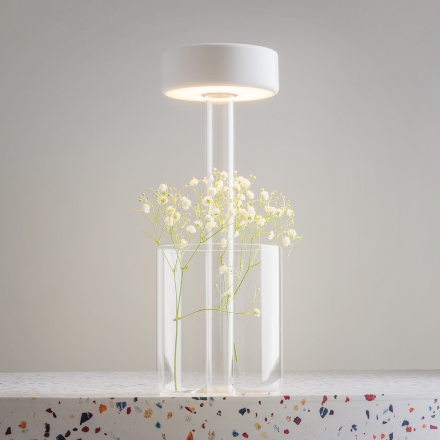 Maytoni MOD229TL-L3W3K1 - LED Aptumšojama uzlādējams pārvietojams galda lampa LED/3W/5V 2200-4000K balta/caurspīdīga