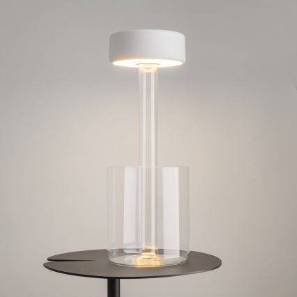 Maytoni MOD229TL-L3W3K1 - LED Aptumšojama uzlādējams pārvietojams galda lampa LED/3W/5V 2200-4000K balta/caurspīdīga
