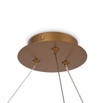 Maytoni MOD317PL-06G - Lustra ar auklu BALANCE 6xG9/40W/230V varš