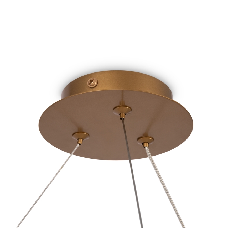 Maytoni MOD317PL-06G - Lustra ar auklu BALANCE 6xG9/40W/230V varš