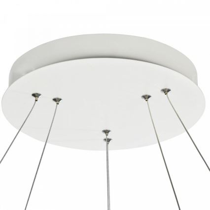 Maytoni MOD807-PL-02-85-W - LED  Lustra ar auklu NOLA LED/85W/230V
