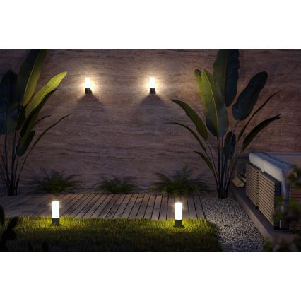 Maytoni O418FL-01B - Āra lampa WILLIS 1xE27/60W/230V 30 cm IP54 melna