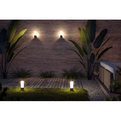 Maytoni O418WL-01B - Āra sienas lampa WILLIS 1xE27/60W/230V IP54 melna