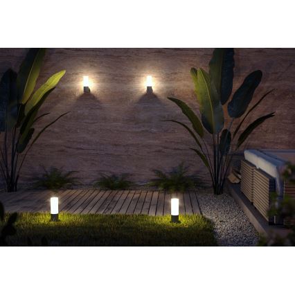 Maytoni O418WL-01GR - Āra sienas lampa WILLIS 1xE27/60W/230V IP54 antracīta