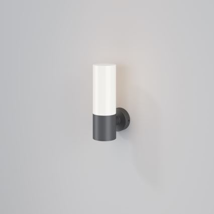 Maytoni O418WL-01GR - Āra sienas lampa WILLIS 1xE27/60W/230V IP54 antracīta