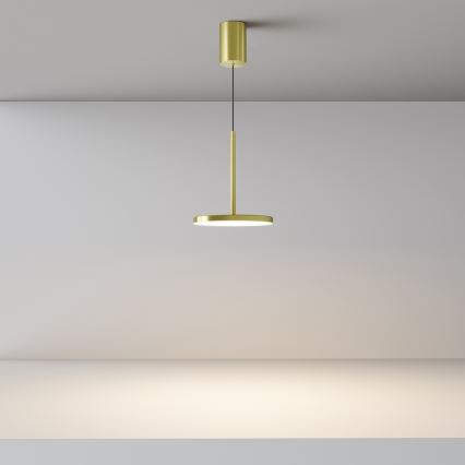 Maytoni P076PL-L12W3K-BS - LED Lustra ar auklu PLATO LED/12W/230V 3000K zelta