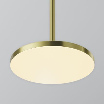 Maytoni P076PL-L12W3K-BS - LED Lustra ar auklu PLATO LED/12W/230V 3000K zelta