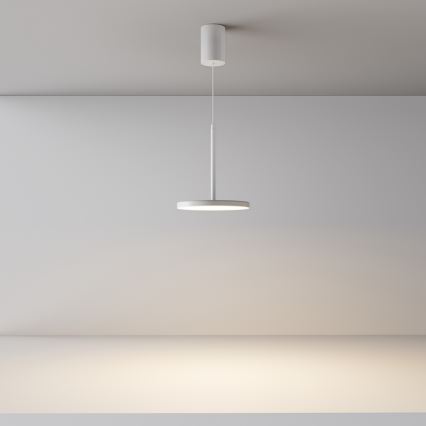 Maytoni P076PL-L12W3K-W - LED Lustra ar auklu PLATO LED/12W/230V 3000K balta