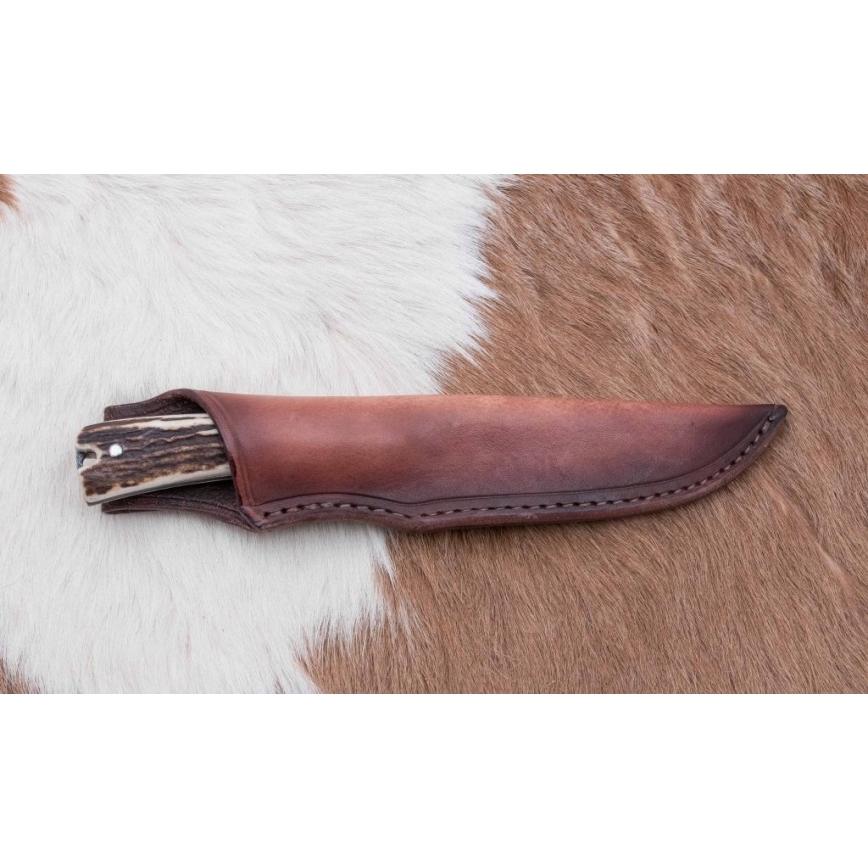 Medību ekspedīcijas nazis 12 cm brieža rags