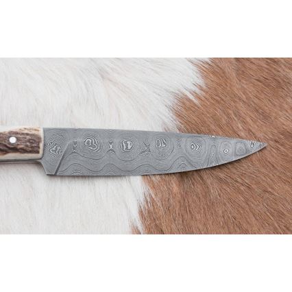 Medību ekspedīcijas nazis 12 cm brieža rags