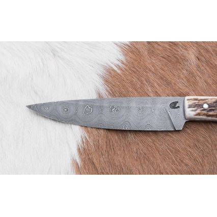 Medību ekspedīcijas nazis 12 cm brieža rags