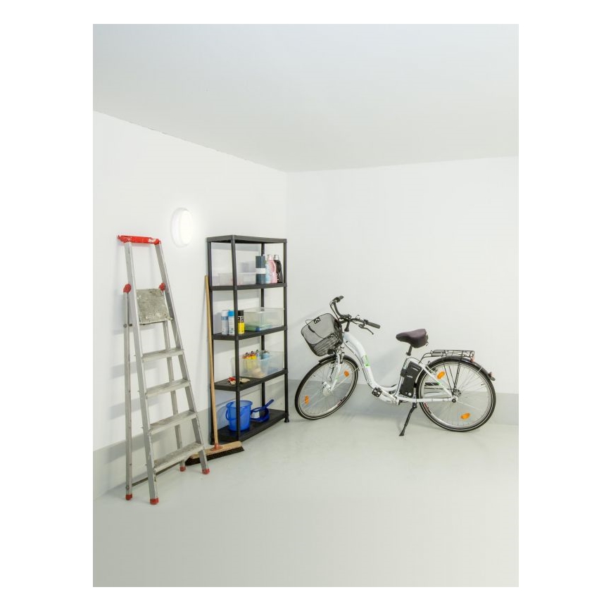 Müller-Licht - LED Āra griestu lampa ar sensoru PICTOR LED/8W/230V IP54