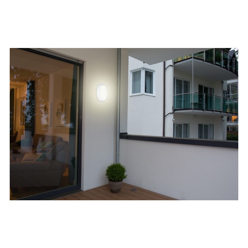 Müller-Licht - LED Āra griestu lampa ar sensoru PICTOR LED/8W/230V IP54