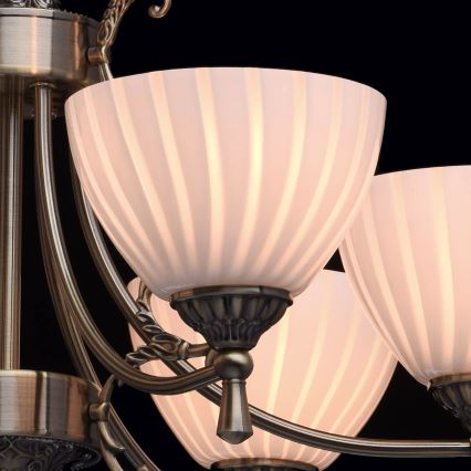 MW-LIGHT - Lustra ar ķēdi CLASSIC 6xE14/60W/230V