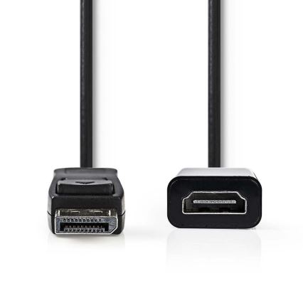 HDMI vada DisplayPort Plug - HDMI izeja 0.2 m