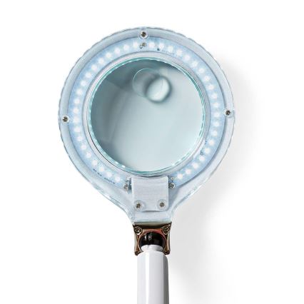 LED Galda lampa ar palielināmo stiklu LED/6,5W/230V 6500K