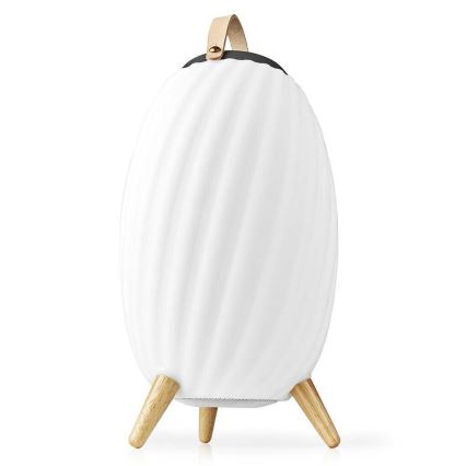 LED RGB Uzlādējama galda lampa ar skaļruni 60W/2200 mAh IPX5