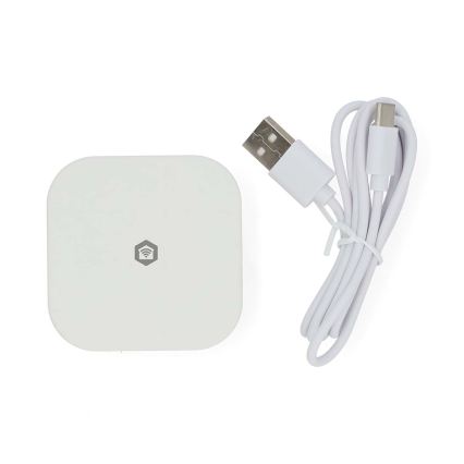 SmartLife 5V Wi‑Fi viedā vārteja