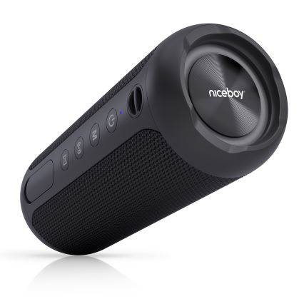 Niceboy Polaris - Bezvadu LED skaļrunis ar mikrofonu 30W/2000 mAh IPX7 melns