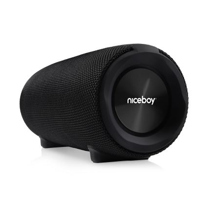 Niceboy Titan 4 - LED Bezvadu skaļrunis ar mikrofonu un lādētājakumulators funkcija 50W/4000 mAh IPX7 melna