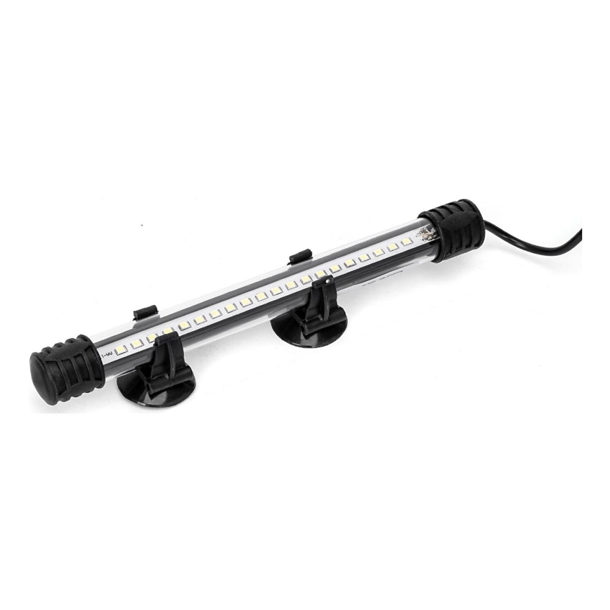 Nobleza - LED Akvārija apgaismojums LED/1W/230V IPX7 20 cm