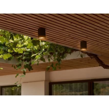 Nordlux - Āra griestu lampa KYKLOP 1xGU10/15W/230V IP54 melna