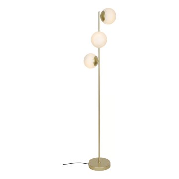 Nordlux - Grīdas lampa LILLY 3xE14/10W/230V misiņš