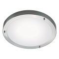 Nordlux - Griestu lampa vannas istabai ANCONA 2xE27/40W/230V IP43 Ø 31,5 cm matēts hroms