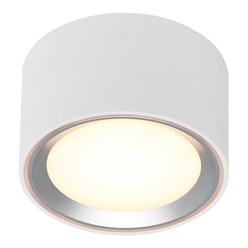 Nordlux - LED Aptumšojama griestu lampa FALLON LED/5,5W/230V 2700K balta