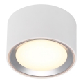 Nordlux - LED Aptumšojama griestu lampa FALLON LED/5,5W/230V 2700K d. 10 cm balta