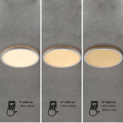 Nordlux - LED dimmējams vannas istabas griestu gaismeklis OJA LED/14,5W/230V 3000/4000K IP54 Ø 30 cm