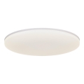 Nordlux - LED Griestu lampa VIC LED/32W/230V IP21