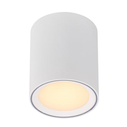Nordlux - LED aptumšojams virziena gaismeklis FALLON LONG LED/5,5W/230V balts