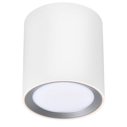 Nordlux - LED Vannas istabas starmetis LANDON LED/6,5W/230V IP44 balta