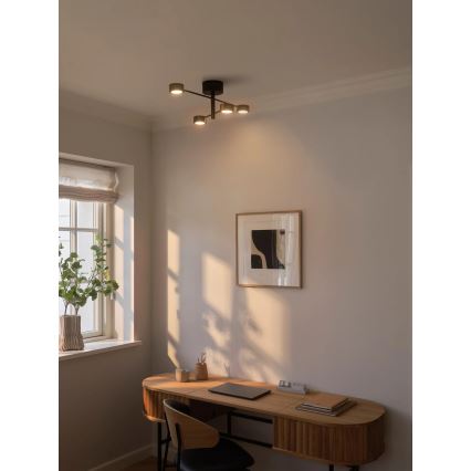 Nordlux - LED virsmas montējamā griestu lampa CLYDE 4xLED/4W/230V