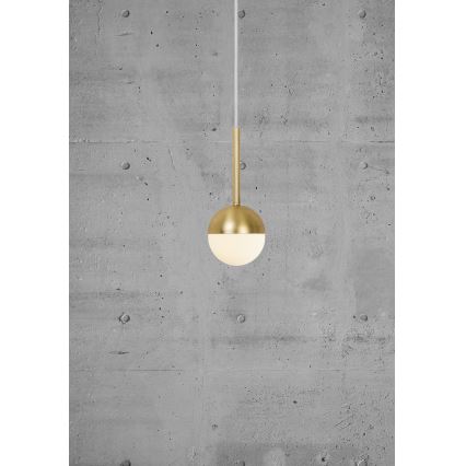 Nordlux - pakaramā lampa uz vada CONTINA 1xG9/5W/230V misiņš
