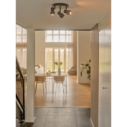 Nordlux - Starmetis BOSTON 3xGU10/5W/230V