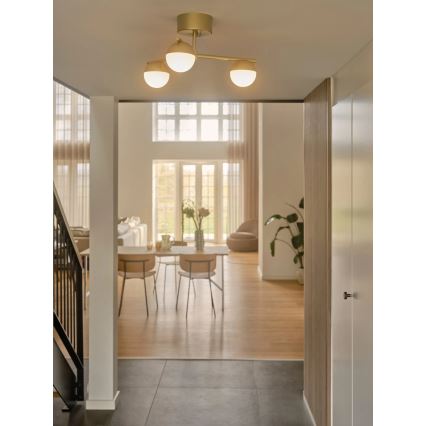 Nordlux - Virsapmetuma lustra CONTINA 3xG9/5W/230V misiņš