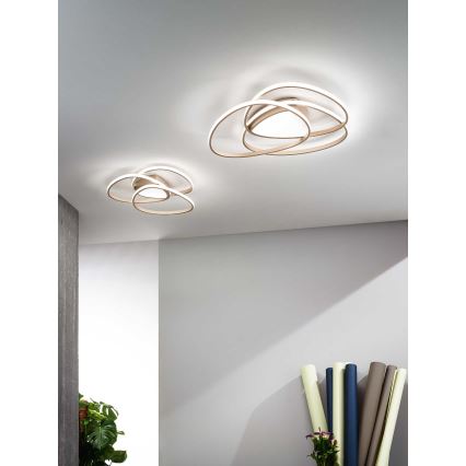 Ondaluce - LED griestu gaismeklis ar regulējamu spilgtumu ROSE LED/60W/230V 50x54 cm zelta krāsā