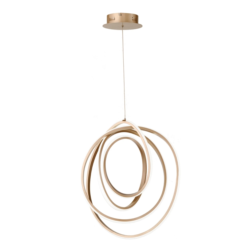 Ondaluce - regulējama LED lustra uz troses GOLDEN LED/50W/230V Ø 50 cm zelta