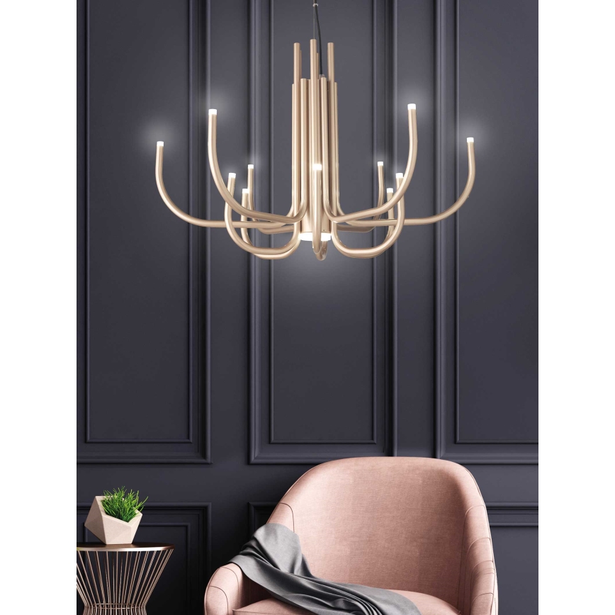 Ondaluce - Regulējama LED lustra uz troses NOUVEAU LED/35W/230V Ø 78 cm zeltaina