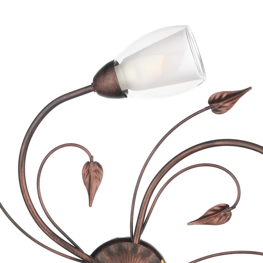 ONLI - Griestu lampa LILIANA 5xE14/6W/230V