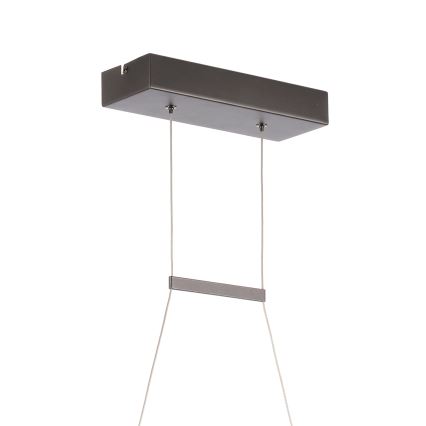 ONLI - LED Lustra ar auklu DNA LED/24W/230V 4000K sudraba