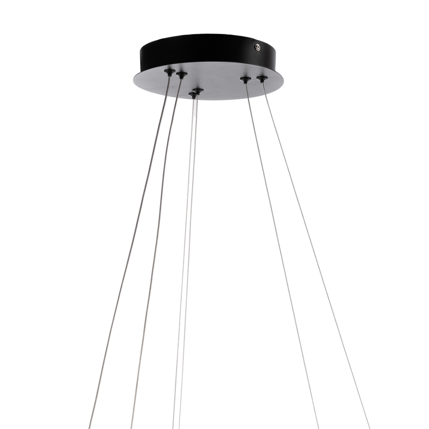 ONLI - LED lustra uz kabeļa NOELIA LED/30W/230V, melna