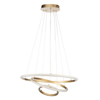 ONLI - LED lustra uz kabeļa NOELIA LED/40W/230V zelta